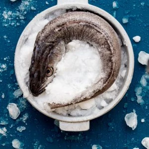 Pescada_IMG_0715