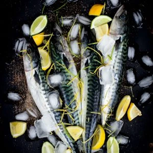 Sarda_ClavelsCook_IMG_9712