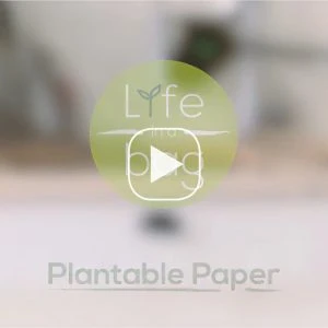 Vídeo de produto - Life in a Bag